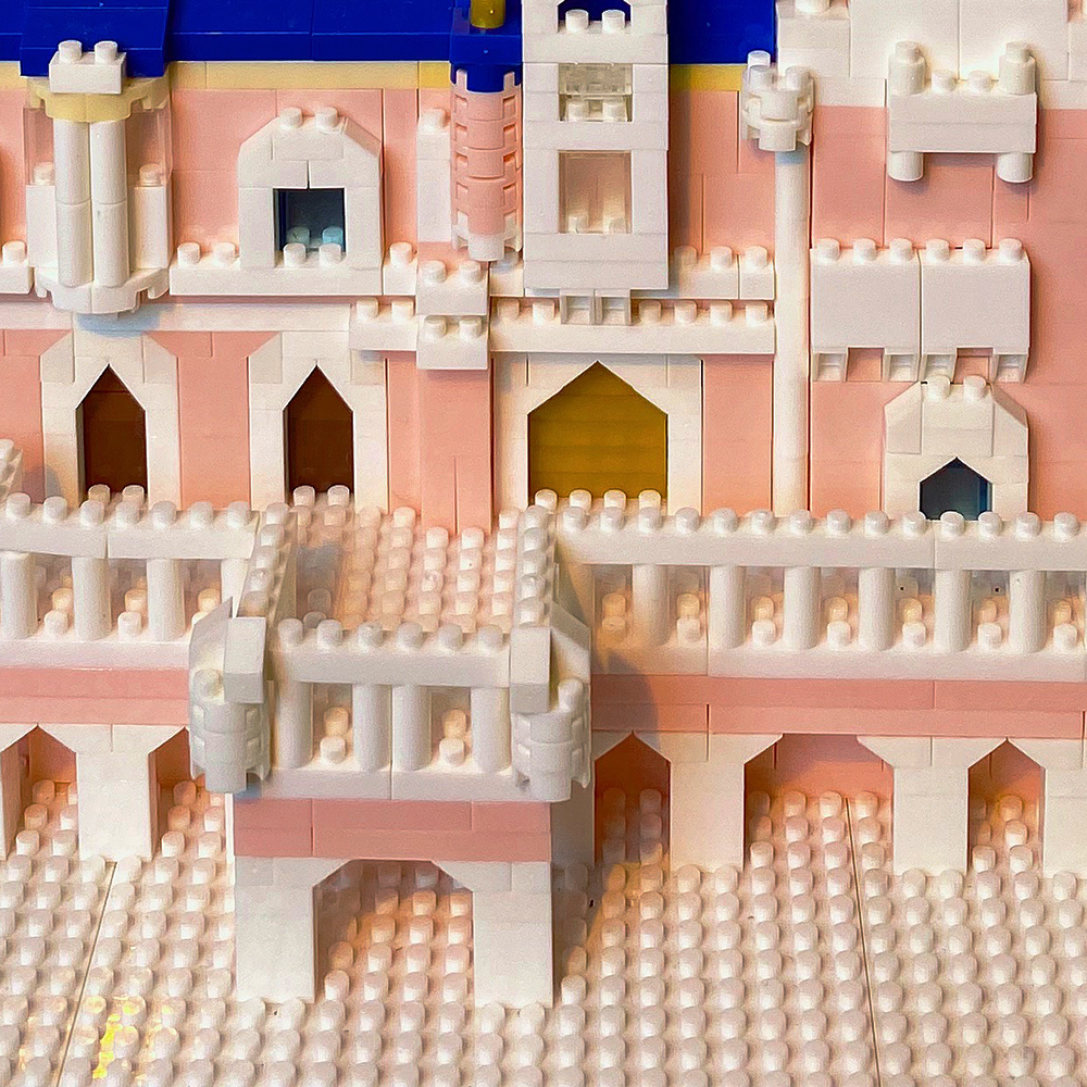 Honey Pink Castle Model Kits M – обзор и цена Philodendron Pink Princess